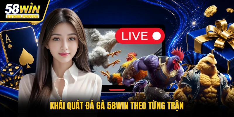 Khái quát đá gà 58WIN theo từng trận